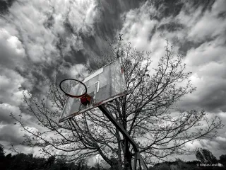 Photo en noir et blanc d'un panier de basket, vu du dessous. Seul l'arceau a gardé sa couleur rouge.