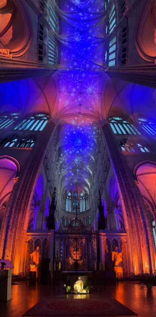 Photo panoramique en mode vertical du plafond de la cathédrale d'Amiens, éclairé par un jeu de couleurs.