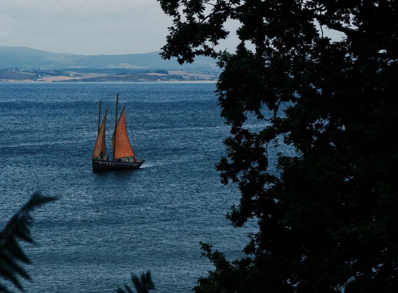Un bateau en mer. Au premier plan, des arbres.