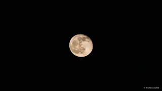 Presque la pleine lune.