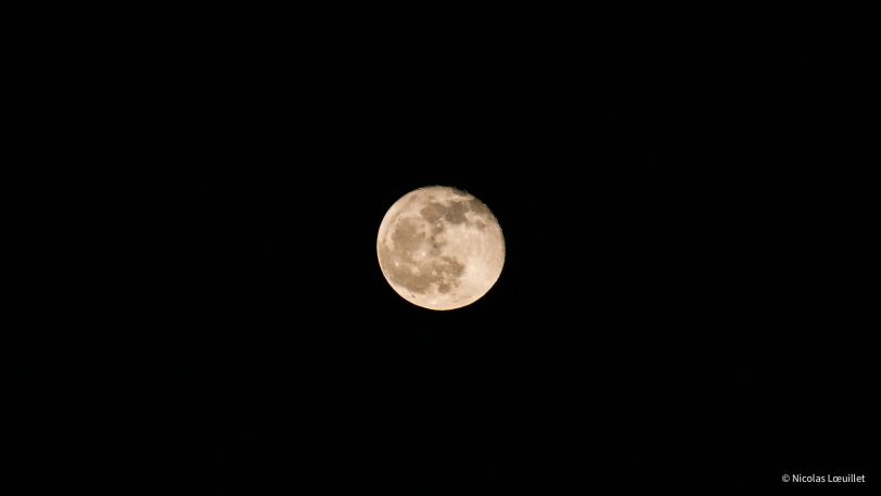 Presque la pleine lune.
