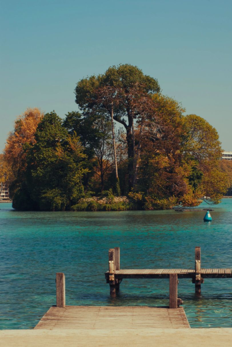 Des arbres au milieu d'une étendue d'eau. Un ponton en bois au premier plan.