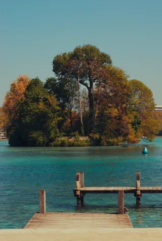 Des arbres au milieu d'une étendue d'eau. Un ponton en bois au premier plan.