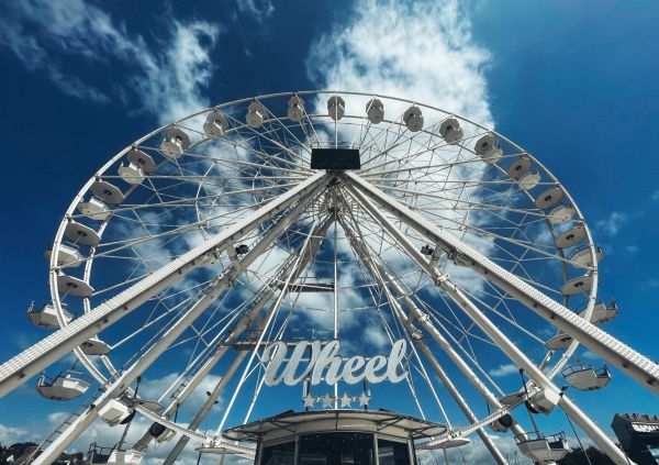 Wheel ⭐️⭐️⭐️⭐️