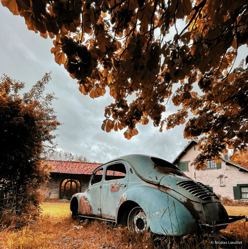 Une coccinelle (la voiture) rouillée et posée dans un champ sous un arbre. Derrière, une habitation.