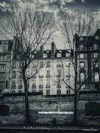 La phrase « On ne tue jamais par amour » collée sur un mur. Derrière, des habitations.